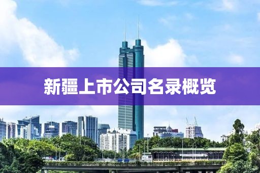 新疆上市公司名录概览