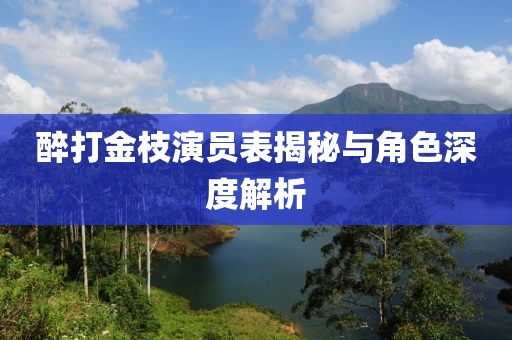 醉打金枝演员表揭秘与角色深度解析