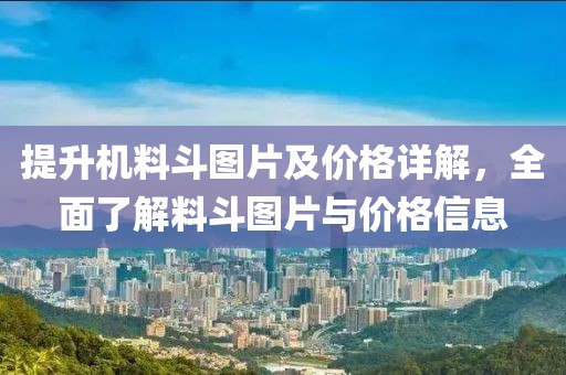提升机料斗图片及价格详解，全面了解料斗图片与价格信息
