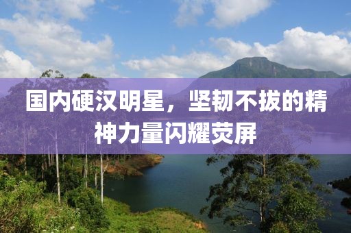 国内硬汉明星，坚韧不拔的精神力量闪耀荧屏
