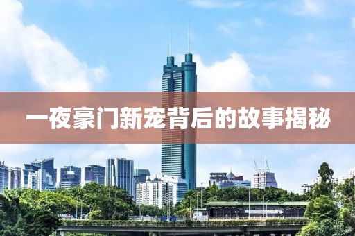 一夜豪门新宠背后的故事揭秘