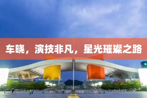 车晓，演技非凡，星光璀璨之路