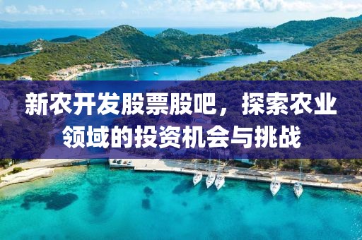新农开发股票股吧，探索农业领域的投资机会与挑战