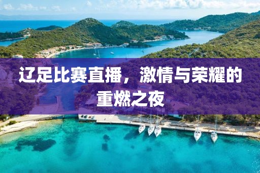 辽足比赛直播，激情与荣耀的重燃之夜