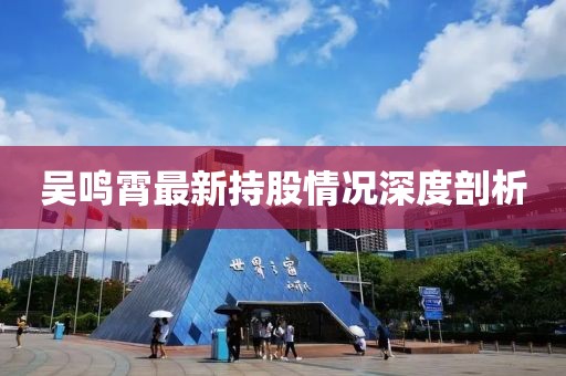 吴鸣霄最新持股情况深度剖析