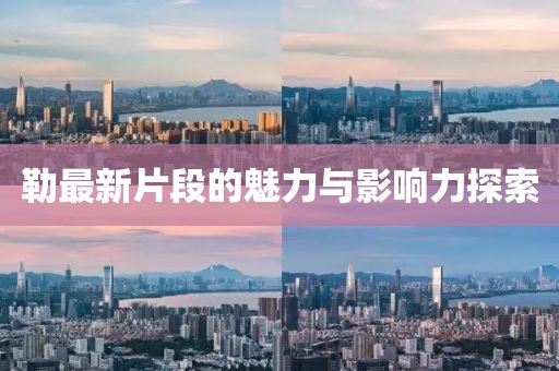 勒最新片段的魅力与影响力探索