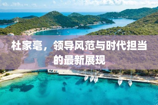 杜家毫，领导风范与时代担当的最新展现