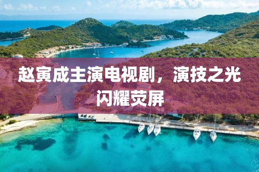 赵寅成主演电视剧，演技之光闪耀荧屏