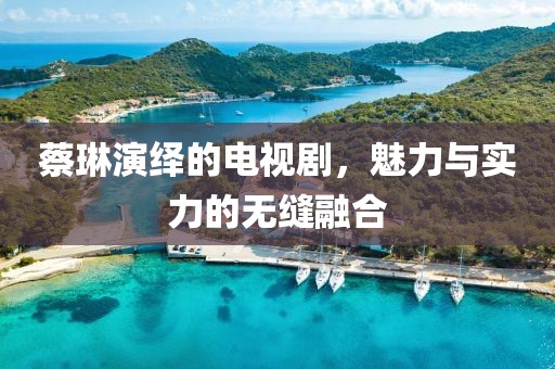 蔡琳演绎的电视剧，魅力与实力的无缝融合