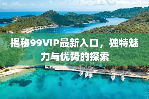 揭秘99VIP最新入口，独特魅力与优势的探索