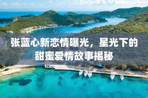 张蓝心新恋情曝光，星光下的甜蜜爱情故事揭秘