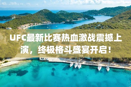 UFC最新比赛热血激战震撼上演，终极格斗盛宴开启！
