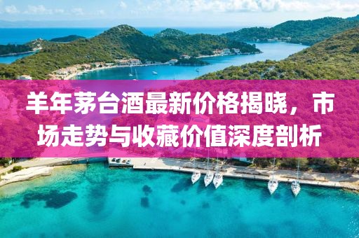 羊年茅台酒最新价格揭晓，市场走势与收藏价值深度剖析