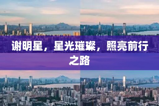 谢明星，星光璀璨，照亮前行之路