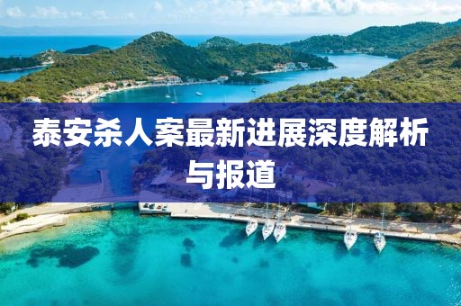 泰安杀人案最新进展深度解析与报道