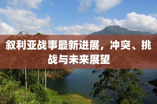 叙利亚战事最新进展，冲突、挑战与未来展望