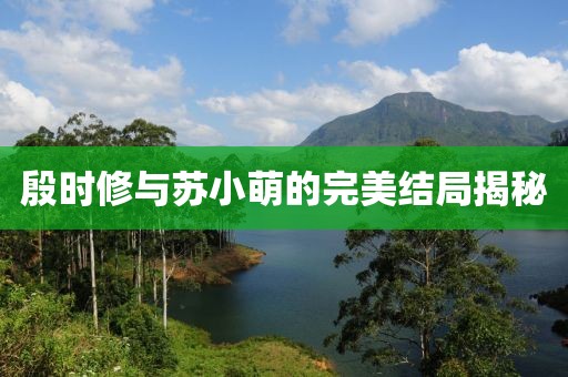 殷时修与苏小萌的完美结局揭秘