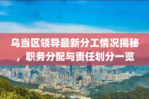 乌当区领导最新分工情况揭秘，职务分配与责任划分一览