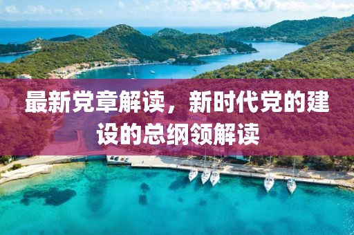 最新党章解读，新时代党的建设的总纲领解读