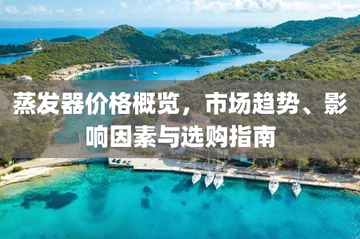 蒸发器价格概览，市场趋势、影响因素与选购指南