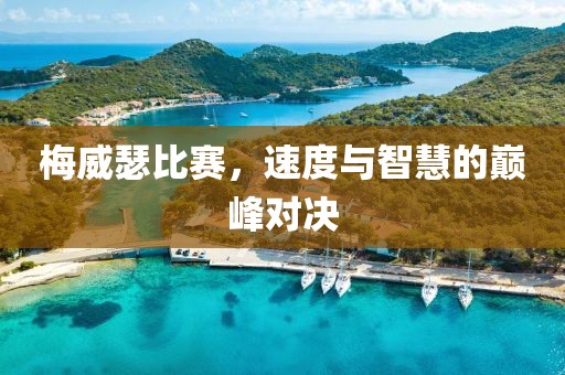 梅威瑟比赛，速度与智慧的巅峰对决