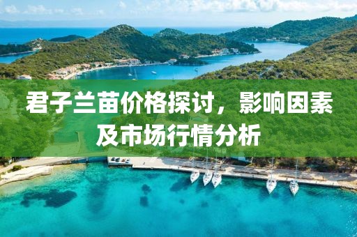君子兰苗价格探讨，影响因素及市场行情分析