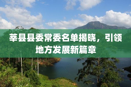 莘县县委常委名单揭晓，引领地方发展新篇章