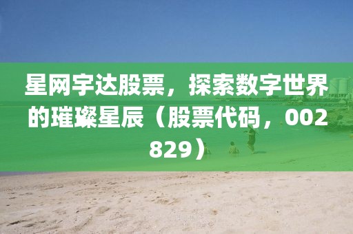 星网宇达股票，探索数字世界的璀璨星辰（股票代码，002829）