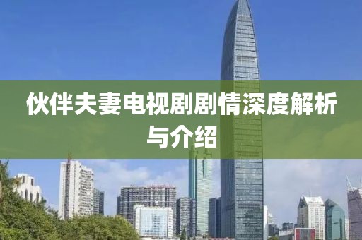 伙伴夫妻电视剧剧情深度解析与介绍