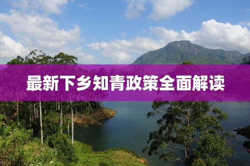 最新下乡知青政策全面解读