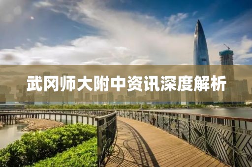 武冈师大附中资讯深度解析