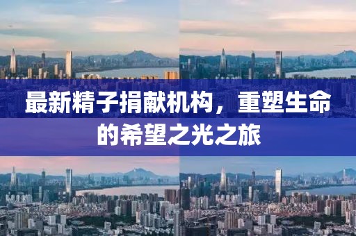 最新精子捐献机构，重塑生命的希望之光之旅
