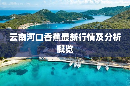 云南河口香蕉最新行情及分析概览