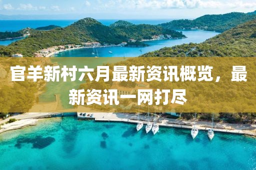 官羊新村六月最新资讯概览，最新资讯一网打尽