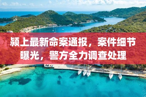 颍上最新命案通报，案件细节曝光，警方全力调查处理