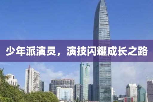 少年派演员，演技闪耀成长之路