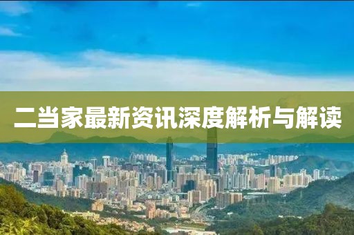 二当家最新资讯深度解析与解读