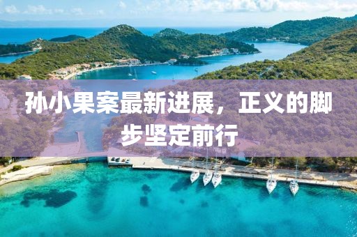 孙小果案最新进展，正义的脚步坚定前行