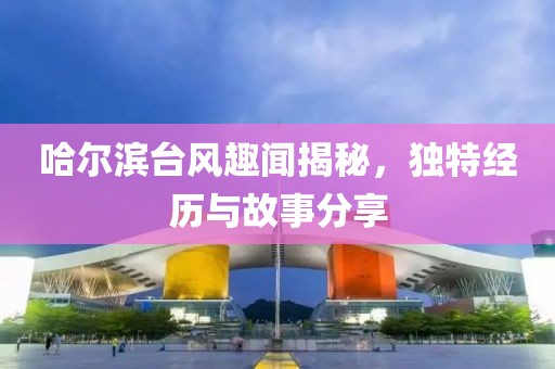 哈尔滨台风趣闻揭秘，独特经历与故事分享