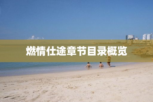 燃情仕途章节目录概览