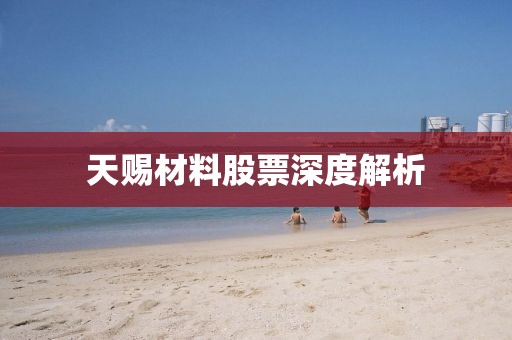 天赐材料股票深度解析