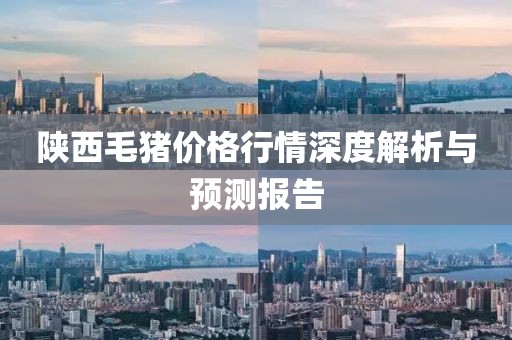 陕西毛猪价格行情深度解析与预测报告