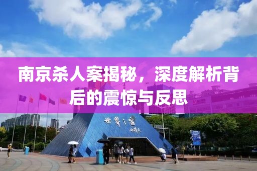 南京杀人案揭秘，深度解析背后的震惊与反思
