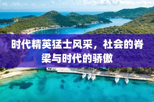 时代精英猛士风采，社会的脊梁与时代的骄傲