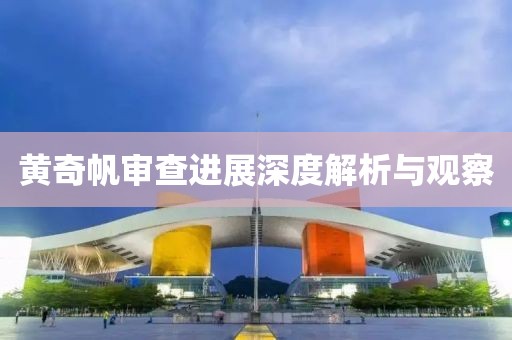 黄奇帆审查进展深度解析与观察