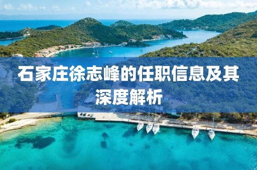 石家庄徐志峰的任职信息及其深度解析