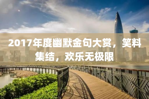 2017年度幽默金句大赏，笑料集结，欢乐无极限