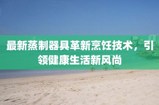 最新蒸制器具革新烹饪技术，引领健康生活新风尚