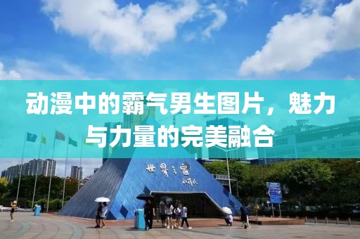 动漫中的霸气男生图片，魅力与力量的完美融合