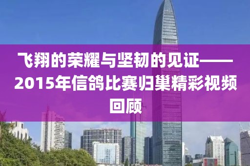 飞翔的荣耀与坚韧的见证——2015年信鸽比赛归巢精彩视频回顾